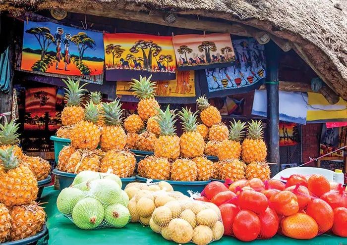 Shore excursions and activities on Oceania Nautica
